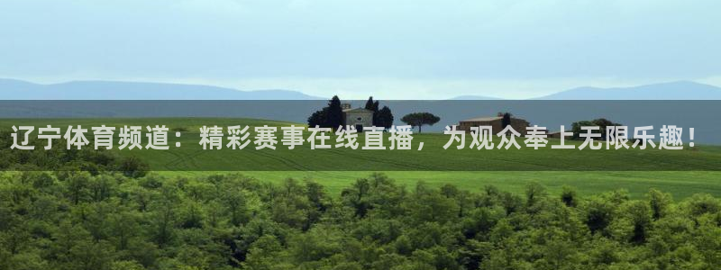 辽宁体育频道：精彩赛事在线直播，为观众奉上无限乐趣！